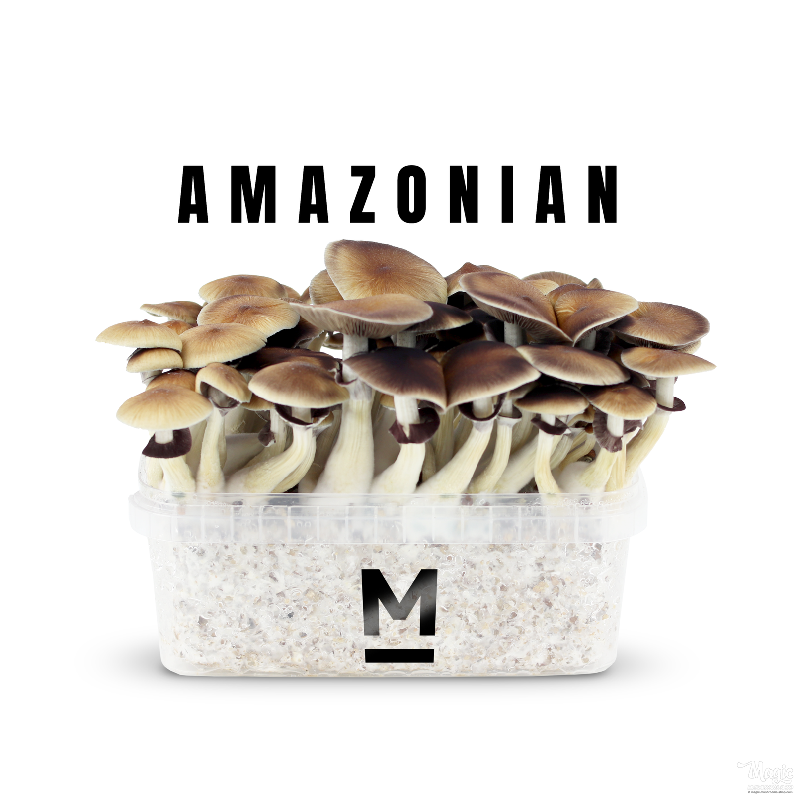 Grow Kit 'PES Amazonian