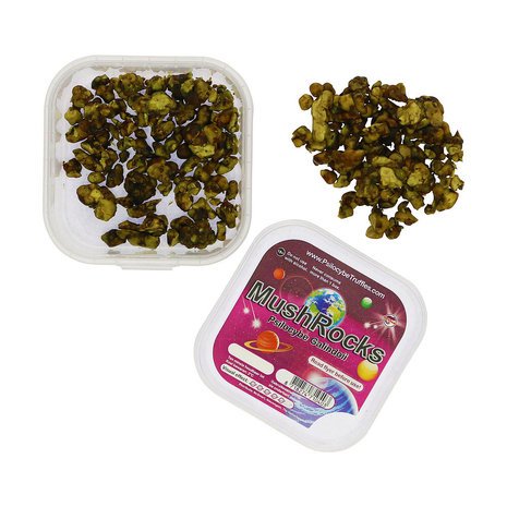 Magic Truffles Galindoi Mushrocks