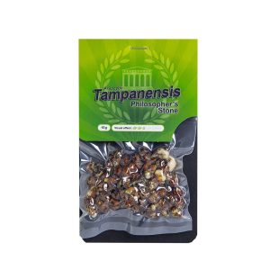 Magic truffles Tampanensis