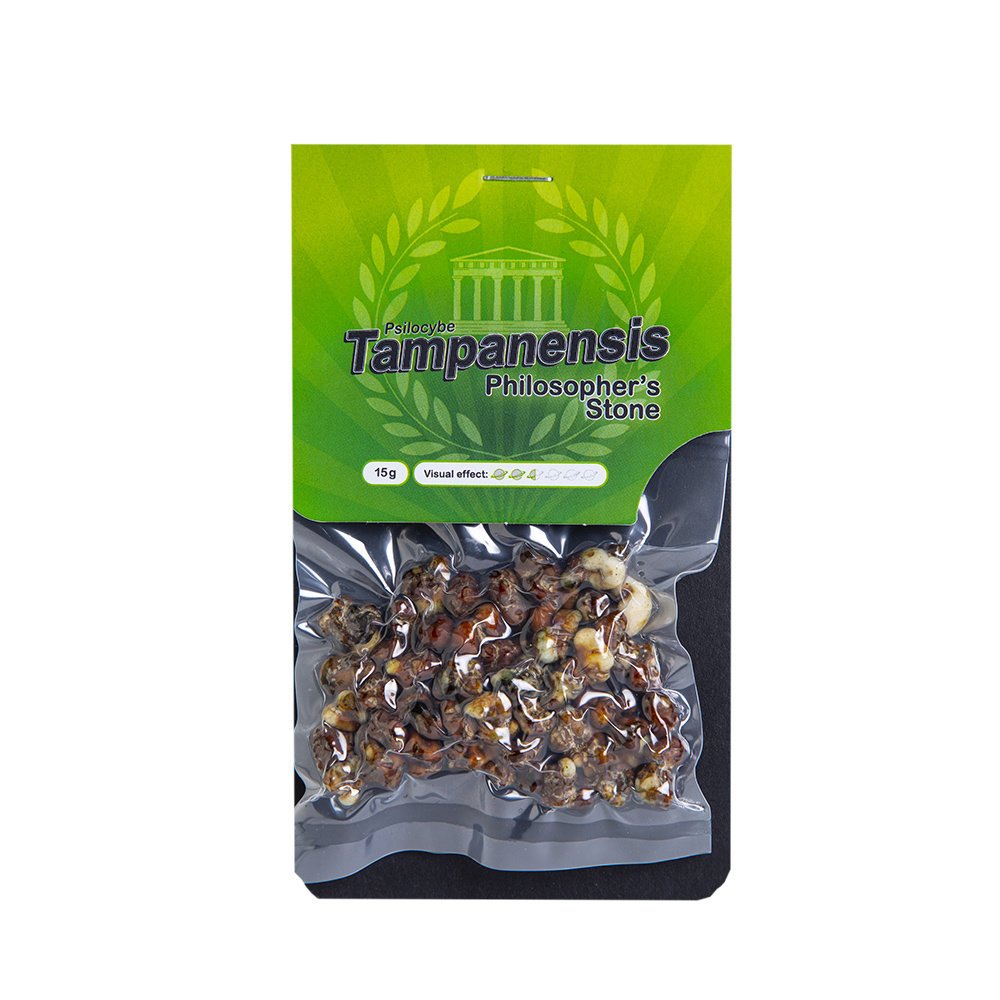 Magic truffles Tampanensis