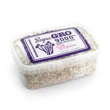 SUPA GRO KIT 100% 'MCKENNAII'