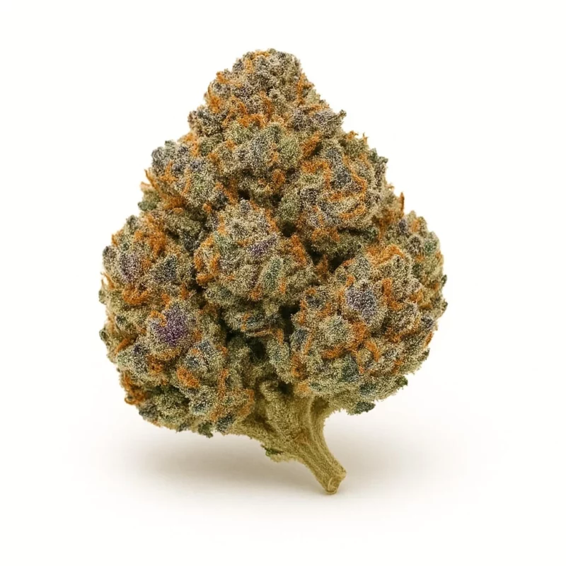 Buy Sunset Sherbert – AAA Online