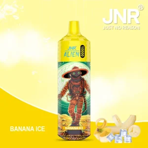 JNR Alien 10000 (Box of 10)