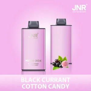 JNR Mega Box 25000 Puffs Disposable Vape (Box of 10)